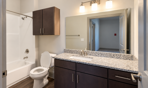 Bathroom with granite vanity and tub shower combo at Reatta Ranch apartments in Justin TX